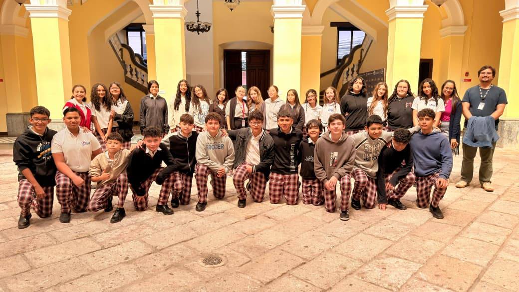 IBS 6